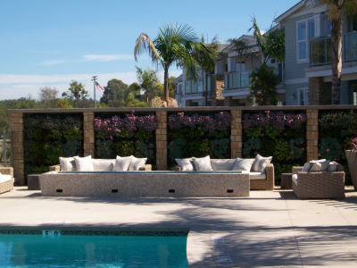 Ocean Street Apartment