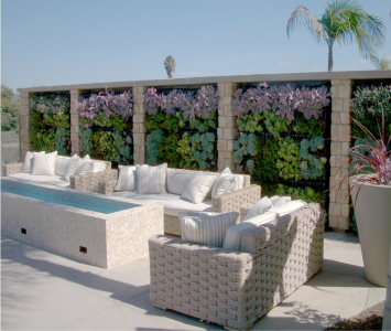 Ocean Street Apartment